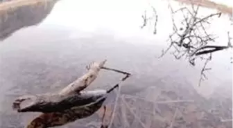 2040'a Su Derdi Kalmaz