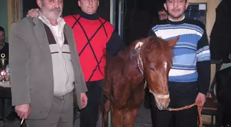 Kütahya'da 'Tay Borsası' Büyük İlgi Gördü