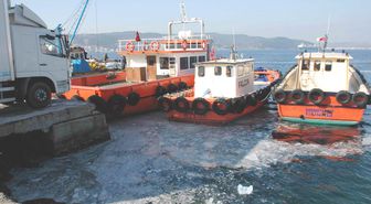 Çanakkale Boğazı'nda Deniz Kirliliği Had Safhaya Ulaştı