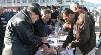 Samsun'da Hamsi Festivali