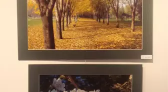 Renklerin Fotoğrafı Korupark'ta