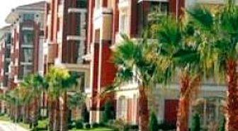 Yılda 6 Milyon YTL'ye Palmiyeşehir Oluyoruz