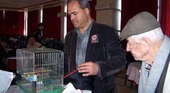 Bandırma'da 'Bülbül Ötümlü Kanarya' Yarışması