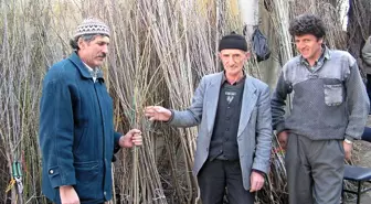 Kütahya'da Fidan Satışları Başladı