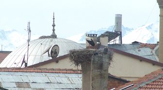 Beyşehir'in Göçebe Konukları Baharı Müjdeledi