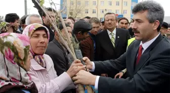 Bahşılı Belediyesi'nden Fidan Dağıtımı Yapıldı