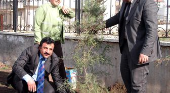 Gölbaşı Adliye Bahçesi Yeşillendi