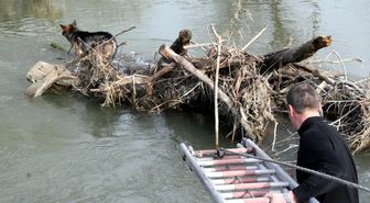 Tunca Nehri'nde Köpek Kurtarma Operasyonu
