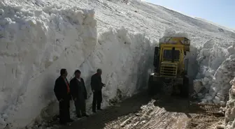 Van'da Çığ