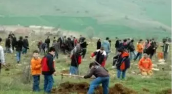 '250 Bin Şehide 250 Bin Fidan' Kampanyası Başladı
