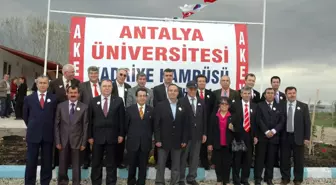 Özel Antalya Üniversitesi Kurulması Çalışmaları