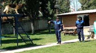 Polis Köpekleri Gobi ve Barsi Hünerlerini Bu Kez Minikler İçin Sahneledi