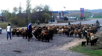 Göçerler Yollara Düştü