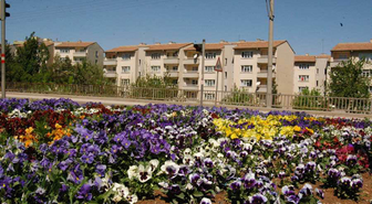 Diyarbakır Büyükşehir Belediyesi Kenti 200 Bin Mevsimlik Çiçek ile Süslüyor