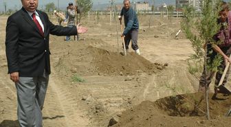 Turgutlu'da, Irlamaz Çayı Çevresine 7 Bin Fidan