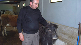 3 Boynuzlu Malak Görenleri Şaşırtıyor