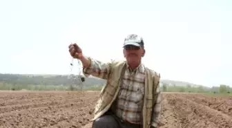 Beyşehir'in Örnek Çiftçisi Seçildi