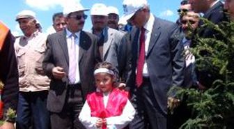 Şenlik Havasında Ağaç Bayramı