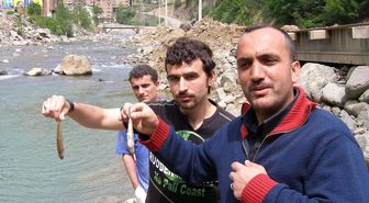 Artvin'de Balık Ölümleri