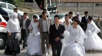 Mardin Valiliği'nden Toplu Nikah Töreni