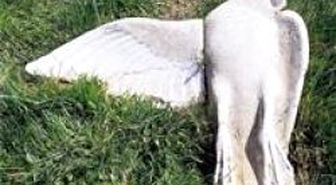 Hrant Dink'in Vurulduğu Kaldırıma Güvercin Heykeli
