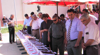 3. Geleneksel Kiraz Festivali Yapıldı