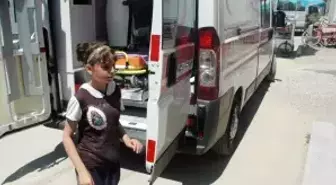 Adapazarı'nda 3 Öğrenci Aşıdan Rahatsızlandı