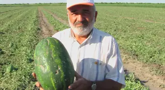 Adana Karpuzuna Avrupa Kupası Dopingi