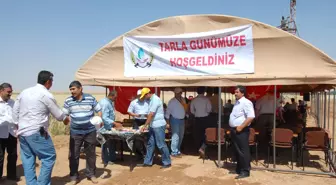 Şanlıurfa'da Tarla Günü Düzenlendi