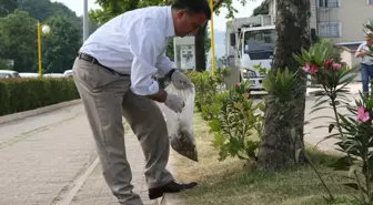 Başkan Murat Sesli Çöp Topladı