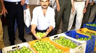 İlek Karaborsada