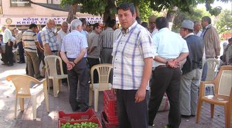 Aydın'da İlek Sıkıntısı Devam Ediyor