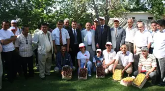 Ereğli'de En Güzel Kiraz Yarışması Sonuçlandı