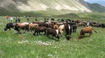 Erzurum'da Mera Açılışı...