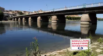 Kızılırmak Nehri'nde Sinekle Mücadele Çalışması