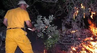 Amasya'da Muhtemel Orman Yangınlarına Karşı Tedbir