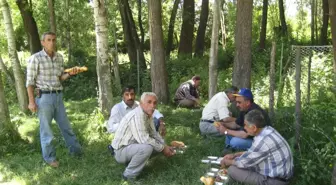 Yedisu'da Halk Pikniği