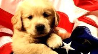 Milyarlarca Dolar Köpeklere Miras Kaldı