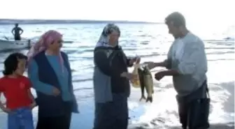 Kırşehir'de 409 Aile Balıkçılık Yaparak Geçimini Sağlıyor