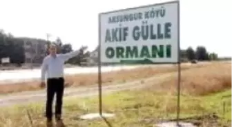 6 Köyün Ormanına AKP'li Akif Gülle'nin Adı Verildi