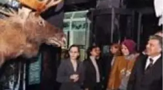 Doğa ve Bilim Turu