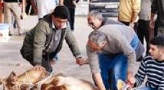 Önlem ve Cezalar Vız Geldi Yurtta Yine Aynı Manzara
