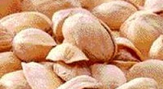 'Fıstık' Davası Sonuçlandı