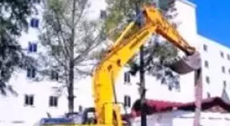 Kuşadası'nda Ağaç Kesimi Tepkisi