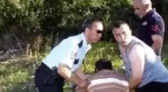 Buraya Gelme Demedim mi Oğlum