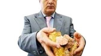 Rekreasyon Alanında Altın Çalışması Tartışma Başlattı