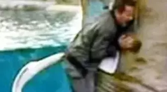 Haber Sunarken Pelikan Gagaladı