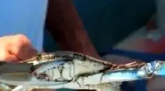 Önce Tiksindiler Şimdi Seviyorlar