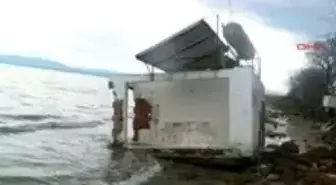 Kırklareli - Iğneada'Da Deniz Taştı, Balıklar Kıyıya Vurdu