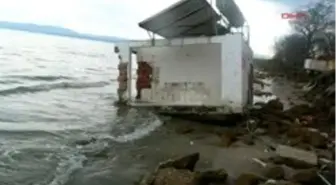 Kırklareli - Iğneada'Da Deniz Taştı, Balıklar Kıyıya Vurdu